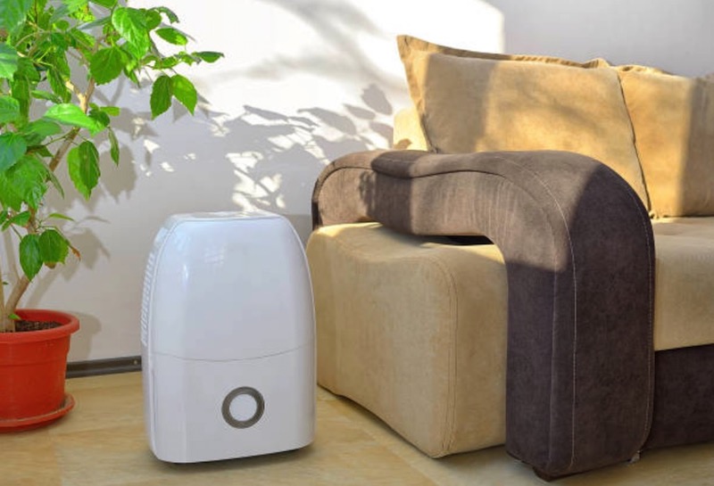 How Big Of A Dehumidifier Do I Need
