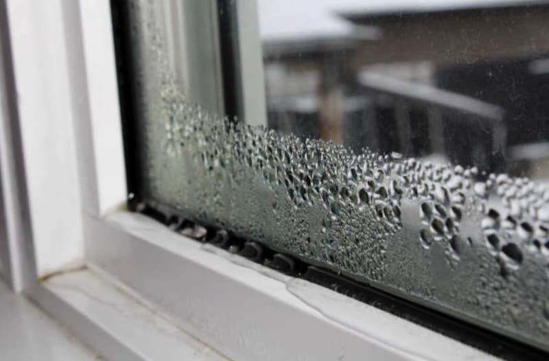 Benefits Of Using A Dehumidifier In Winter