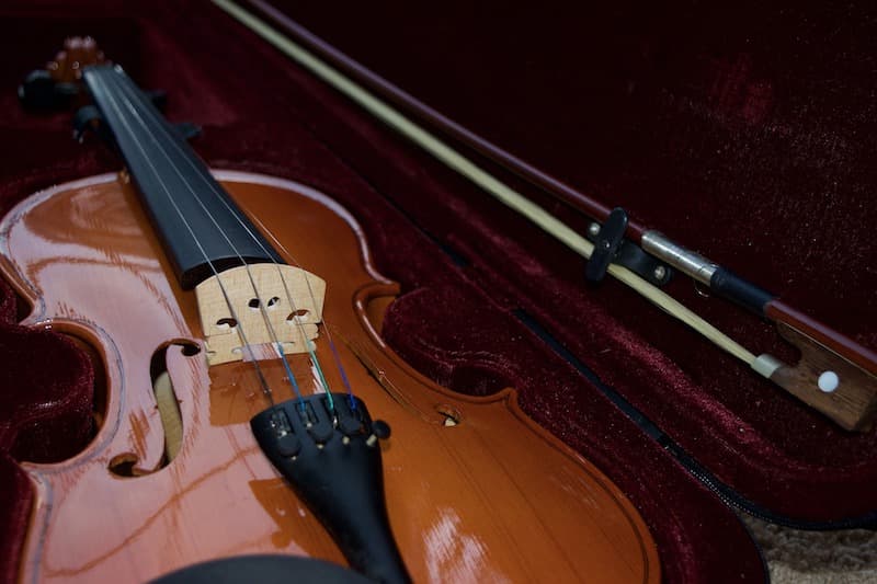 Best Hygrometer For Musical Instruments or Guitar/Violin Case