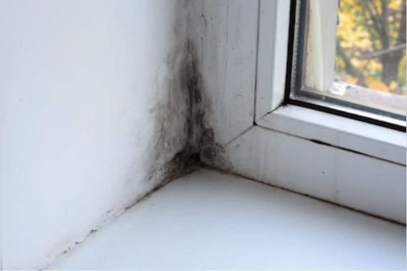 what-causes-mold-and-mildew-in-your-home-humiditycheck