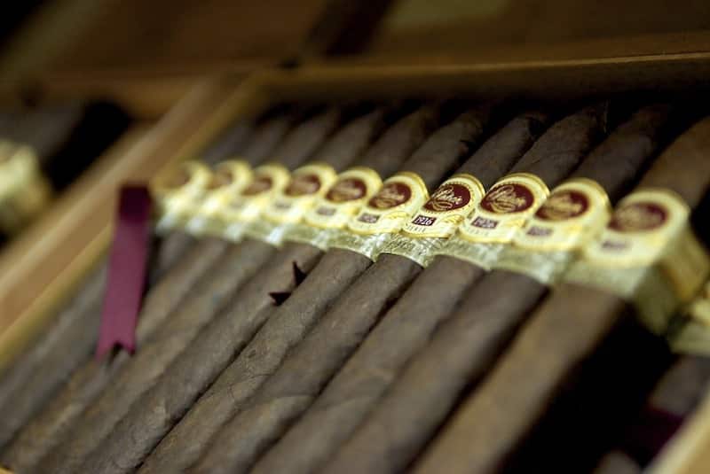 Cigars in a humidor