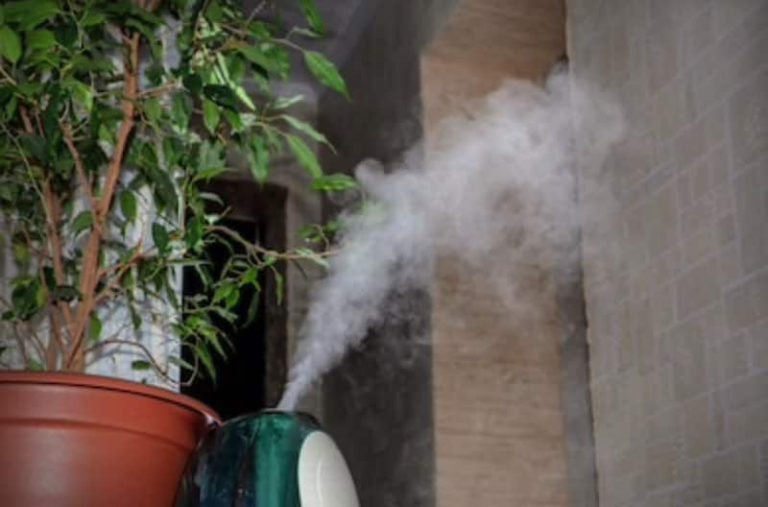 Can Mold In A Humidifier Make You Sick? •