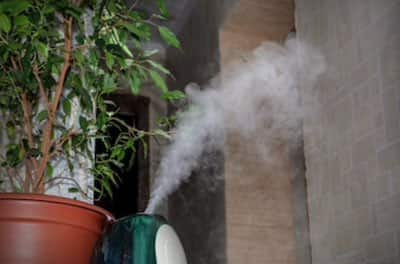 Can Mold In A Humidifier Make You Sick? • HumidityCheck.com