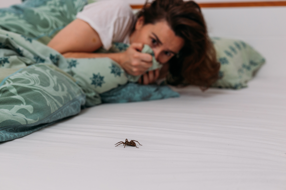 pests