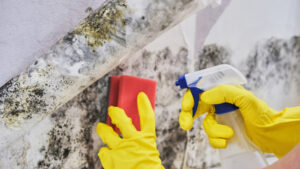 mold