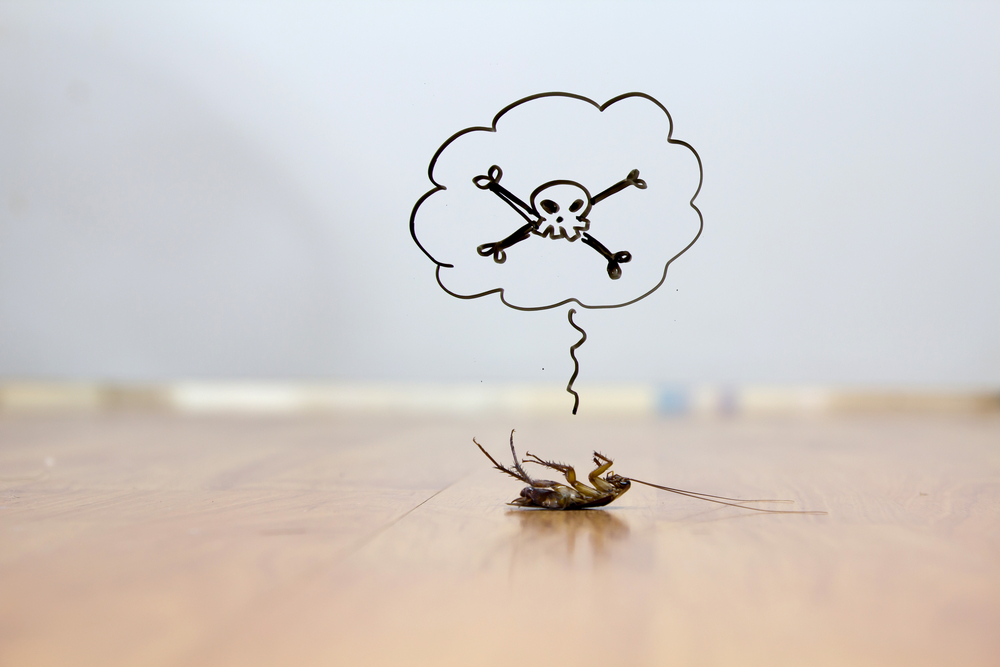 Cockroaches