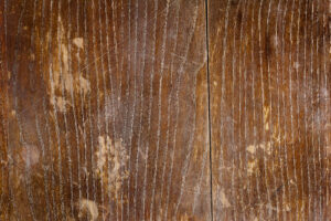 scratches
