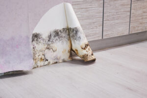 mold